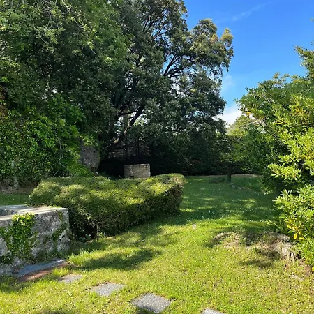 Maison *